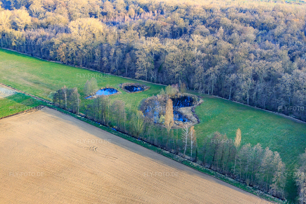 Luftbild: Biotop am Altbach im Winter im Ortsteil Minderslachen in Kandel im Bundesland Rheinland-Pfalz in Deutschland. Foto: IMG_076779.jpg vom 28.03.2015 durch Werner Riehm/FLY-FOTO.de