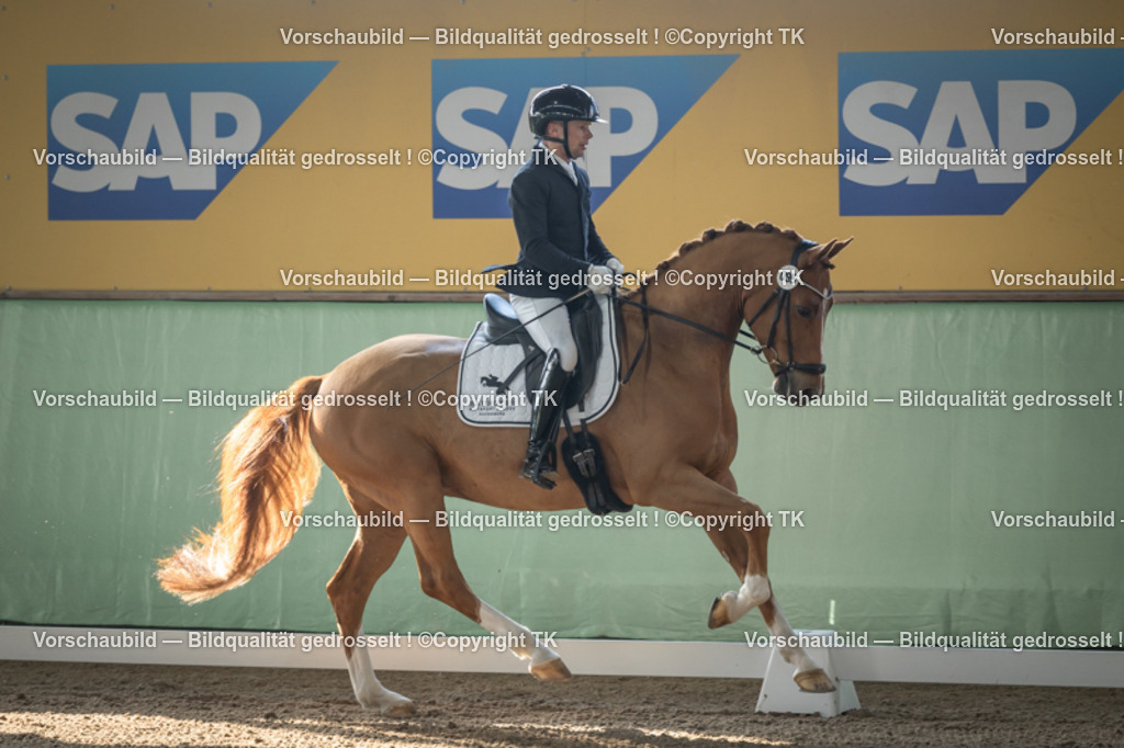 _D5A0436 | Emotionale Pferde- & People-Fotografie rund um Heidelberg, Leimen & Umgebung. Natürliche Fotos von Pferd, Mensch & Familie. Jetzt Termin sichern!