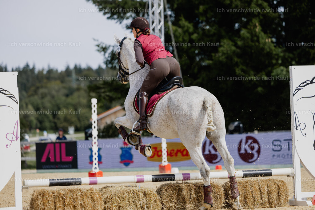 Kelly4_FHC2025-20336 | working equitationturnier fotograf videograf stoibphotography marixx film working equitation deutschland reitsport turnierfotografie eventfotografie equestrian events