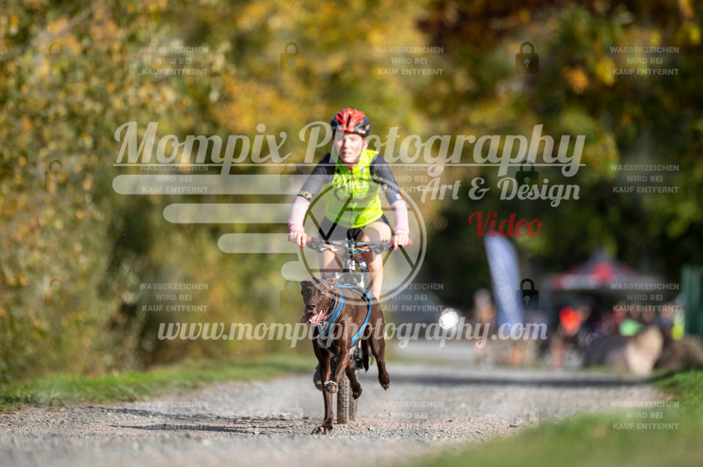 TSB_2023_E2_Bike-24 | PayLife