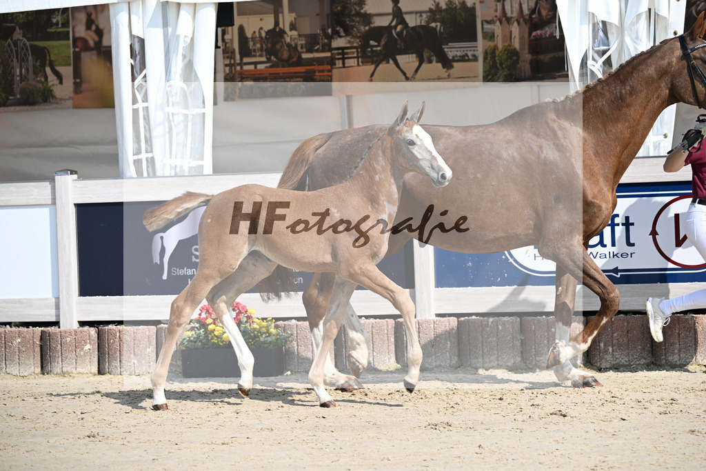Agalord x C-Indoctro_SF_Diez_12250123 | hf-fotografie - Realisiert mit Pictrs.com