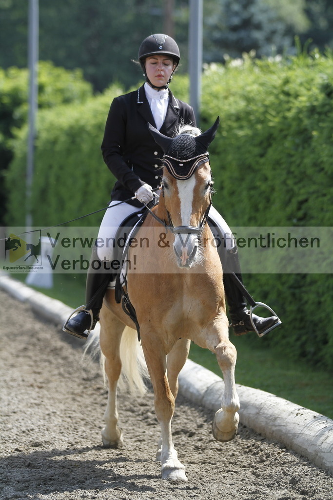 _MG_9868 | equestrian-live-com