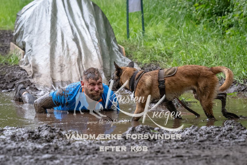 1642_ZZ94974-Bearbeitet | kk-dogfotos
