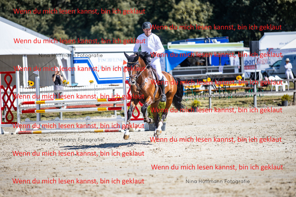 BK1A5579 | Turnierbilder Turnierfotos Nina Hüffmann Turnierfotografie Pferdefotografie Tierzeichnung Haustierzeichnung Pferdezeichnung Hundezeichnung Videograf  - Realisiert mit Pictrs.com