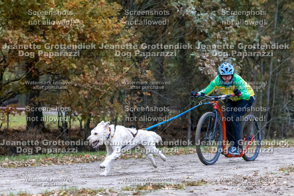 Dog Paparazzi - SD CaniX Championship 2025-177 | Dog Paparazzi Jeanette Grottendiek Fotografie & Videografie - Realisiert mit Pictrs.com