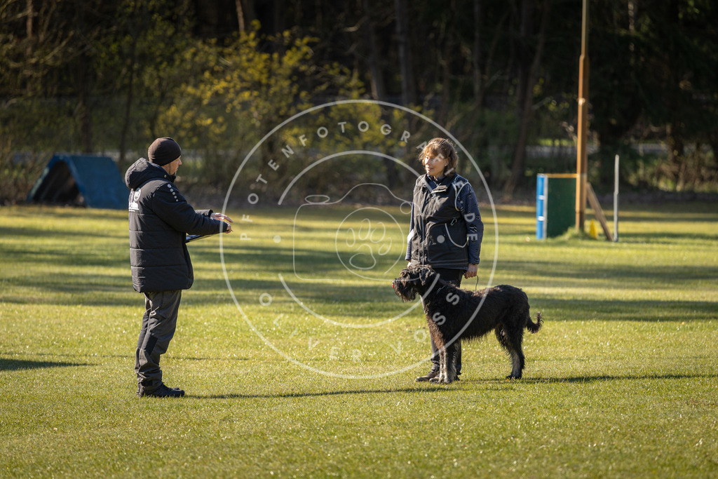 Pfotenfotografie_DV3A0086 | Hundefotografie, Tierfotograf, Pfotenfotografie, Fotoshooting Hund, Hunde Portrait, Hundesport, Hundeportraits, Heideshooting, Hunde, Sportfotograf, Hundefotograf, Turnierhundsport, THS,  - Realisiert mit Pictrs.com
