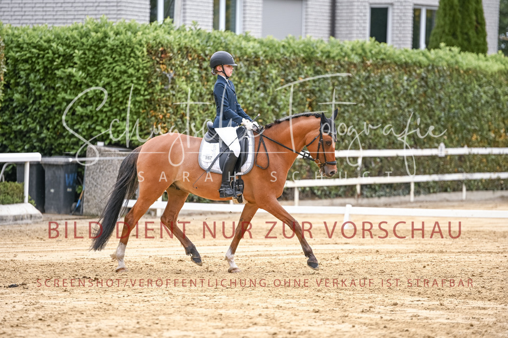 Schugtsche-Aluta25-42.EDressur -338 | Schugtsche Fotografie - Realisiert mit Pictrs.com
