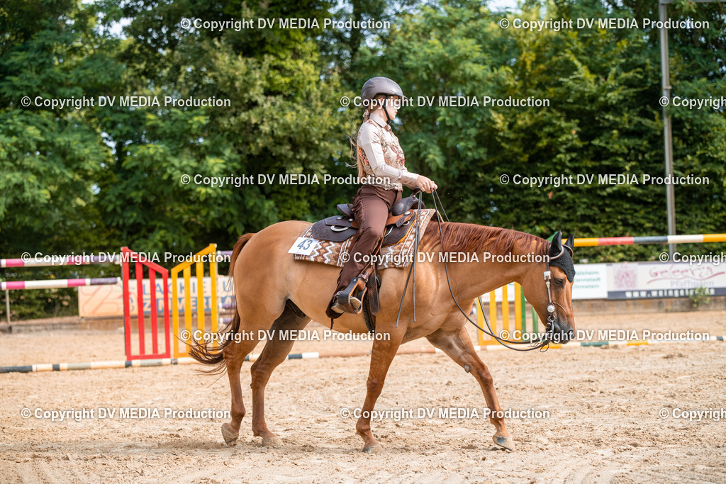 ZS2_7534 | dv-media-shop - Realisiert mit Pictrs.com