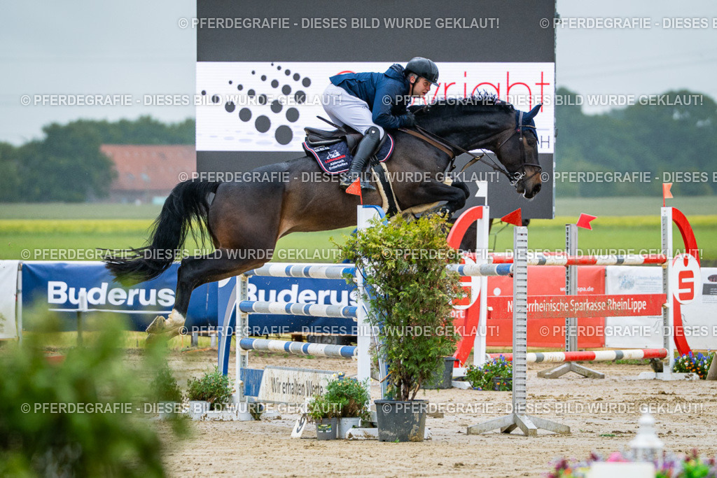 DSC03400 | Pferdegrafie