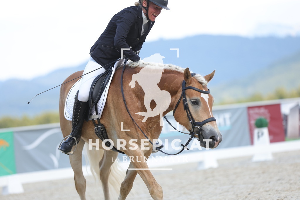 0P6A0026 | Willkommen bei Brunnmayr - Design & Fotografie – Ihrem Spezialisten für Reitturniere und Pferdeveranstaltungen in Oberösterreich, Salzburg und Bayern! Seit über 17 Jahren sind wir leidenschaftlich dabei.
