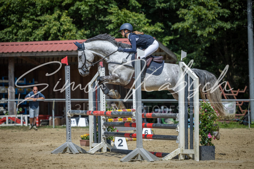 20260704-_3LI0522 | Tierfotografie Pferde, Hunde, Katzen, Haustiere.
Turnierfotografie Reitturniere, Reiten, Springreiten, Dressur in Hanau, dem Main-Kinzig-Kreis und dem Rhein-Main- Gebiet um Frankfurt