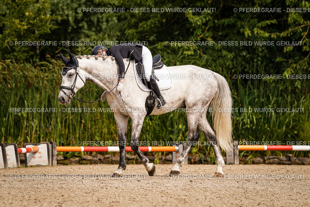 DSC01360 | Pferdegrafie