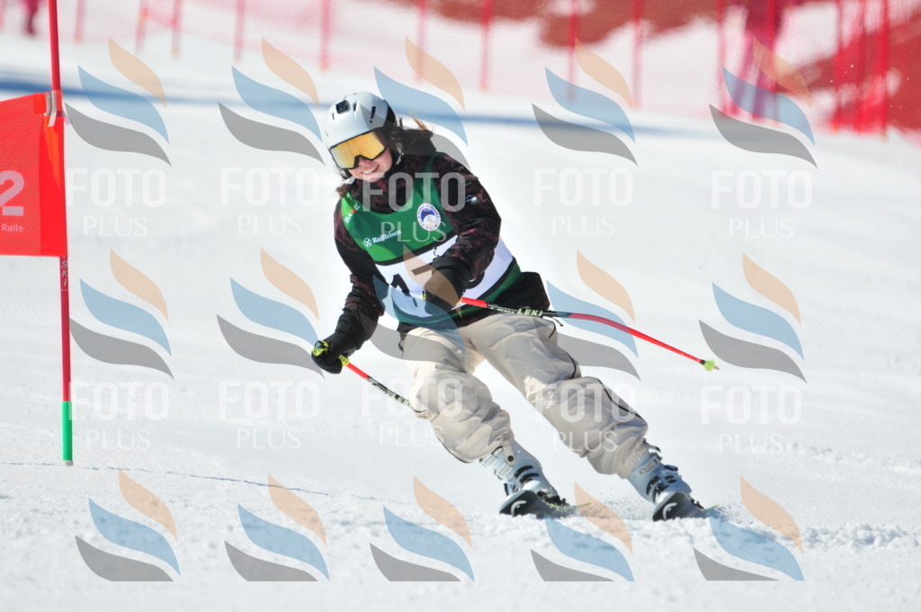 C4271 | holidayphoto