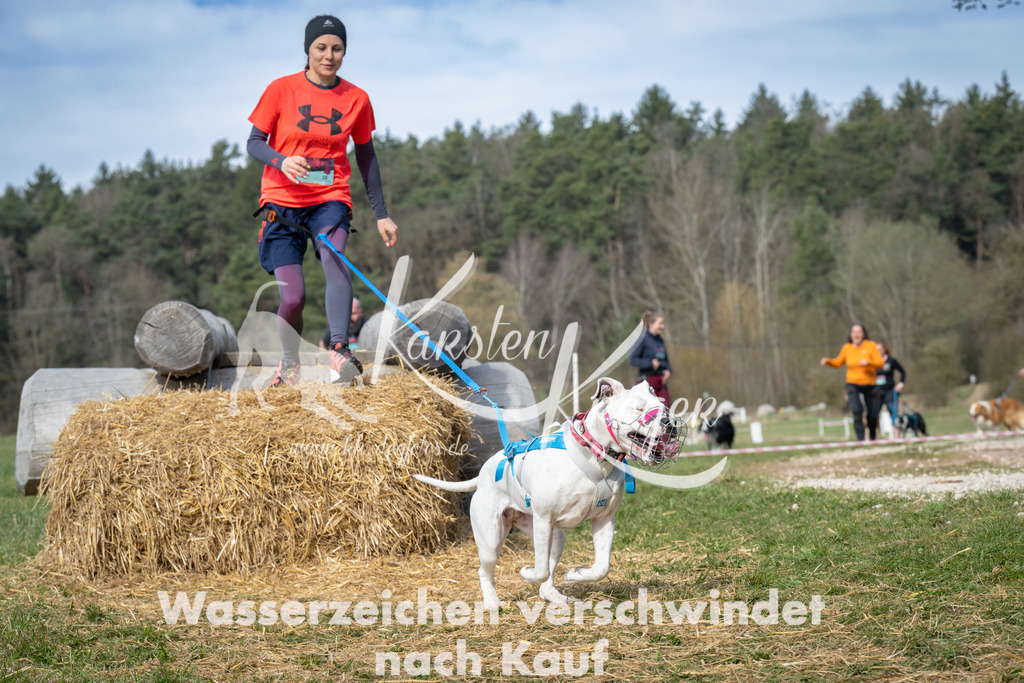 1034_ZZ92694 | kk-dogfotos