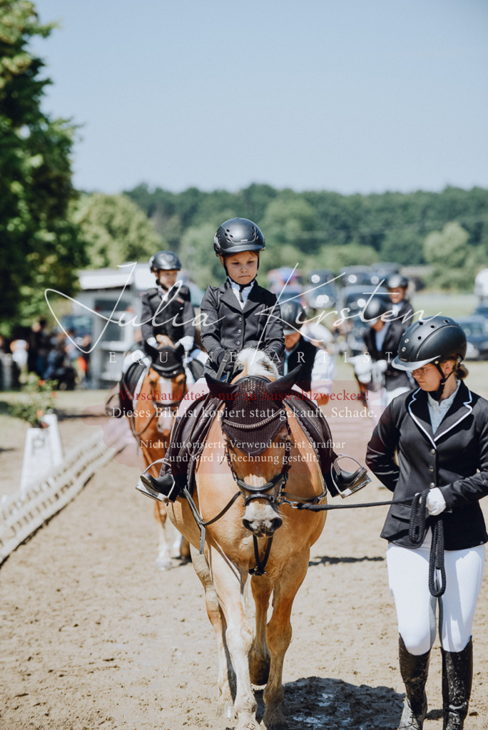 DSC_2425 | Pferde- und Turnierfotografie in Westsachsen. Pferdeportraits, Auftragszeichnungen und intuitive Kunst.