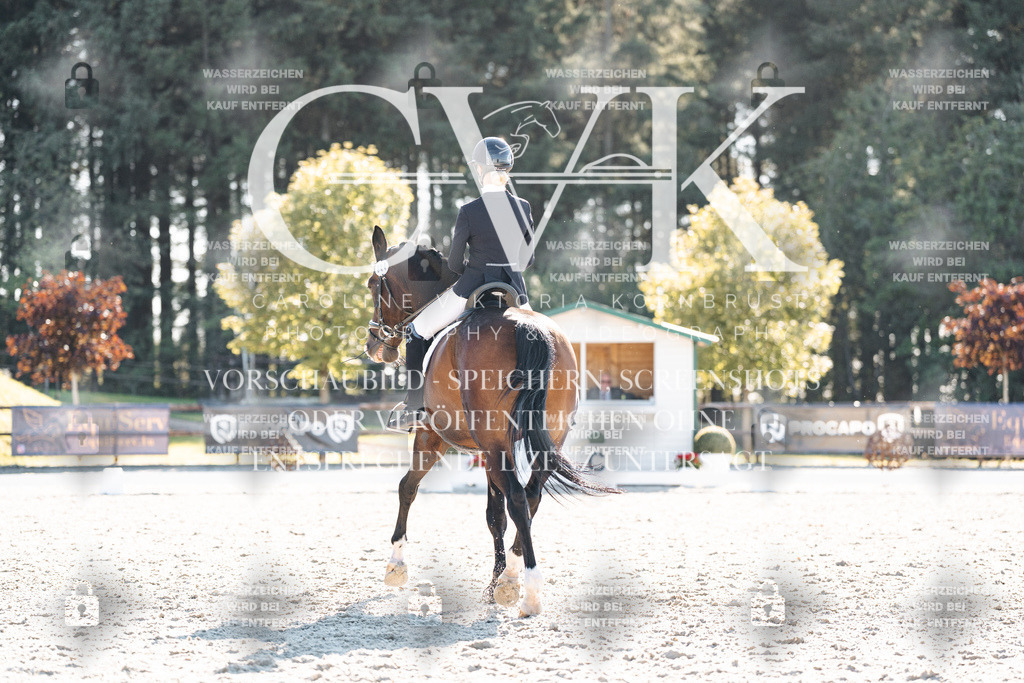 CK906470 | Turnierfotografie Pferdefotografie Trier Rheinland-Pfalz Pferdesport Reitsport Tierfotografie Sportfotografie Pferdevideo Pferdevideografie Equestrianvideography equestrianphotography  - Realisiert mit Pictrs.com