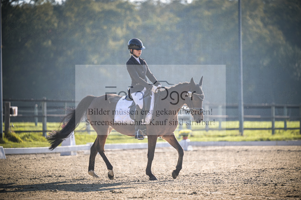DOS_0609 | Entdecke hochwertige Reitturnierfotos von Foto Oger. Professionell, emotional und authentisch – jetzt Lieblingsmomente im Shop bestellen.Deutschlandweite Turnierfotografie. - Realisiert mit Pictrs.com
