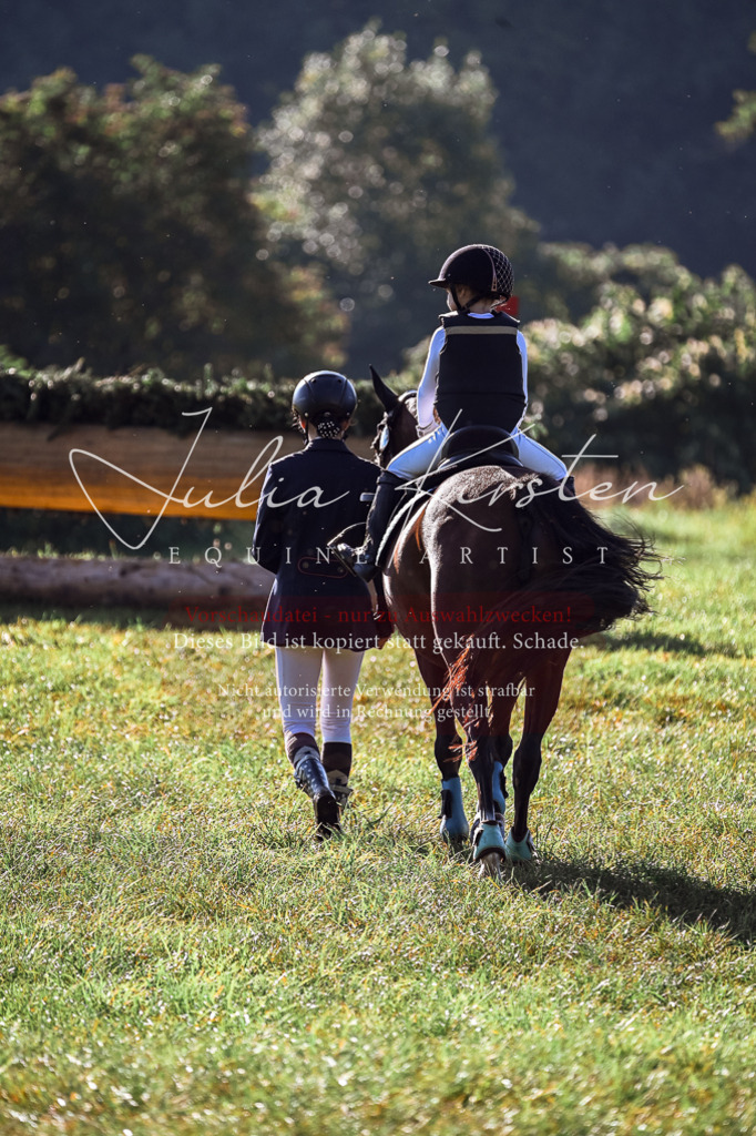 DSC_0274 | Pferde- und Turnierfotografie in Westsachsen. Pferdeportraits, Auftragszeichnungen und intuitive Kunst.