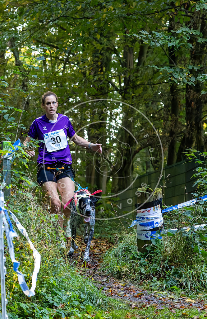 Pfotenfotografie_DV3A6616 | Hundefotografie, Tierfotograf, Pfotenfotografie, Fotoshooting Hund, Hunde Portrait, Hundesport, Hundeportraits, Heideshooting, Hunde, Sportfotograf, Hundefotograf, Turnierhundsport, THS,  - Realisiert mit Pictrs.com