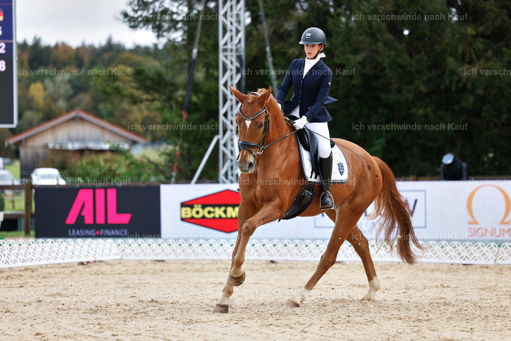 02-095-DRESSUR L_  -StoibPH-4715 | working equitationturnier fotograf videograf stoibphotography marixx film working equitation deutschland reitsport turnierfotografie eventfotografie equestrian events