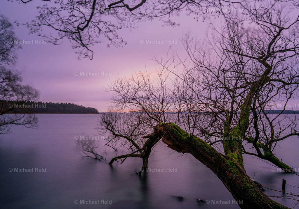 Sonnenaufgang | Profi-Fotos über Schleswig-Holstein und dem ganzen Norden für Büro, Hotel, Ferienhaus, Ferienwohnung, Wohnzimmer, Arztpraxis uvm. jetzt bestellen. - Realisiert mit Pictrs.com
