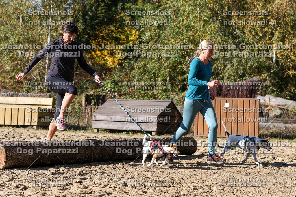 Dog Paparazzi - Strongdog 10-25-4688 | Dog Paparazzi Jeanette Grottendiek Fotografie & Videografie - Realisiert mit Pictrs.com