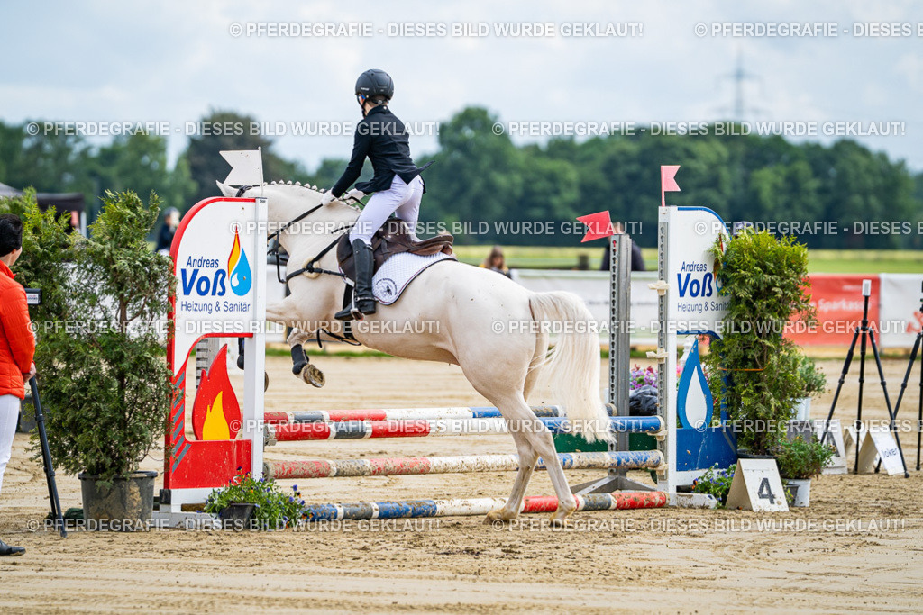 DSC06457 | Pferdegrafie