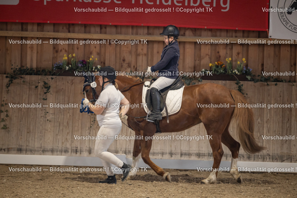 _D5A5352 | Emotionale Pferde- & People-Fotografie rund um Heidelberg, Leimen & Umgebung. Natürliche Fotos von Pferd, Mensch & Familie. Jetzt Termin sichern!