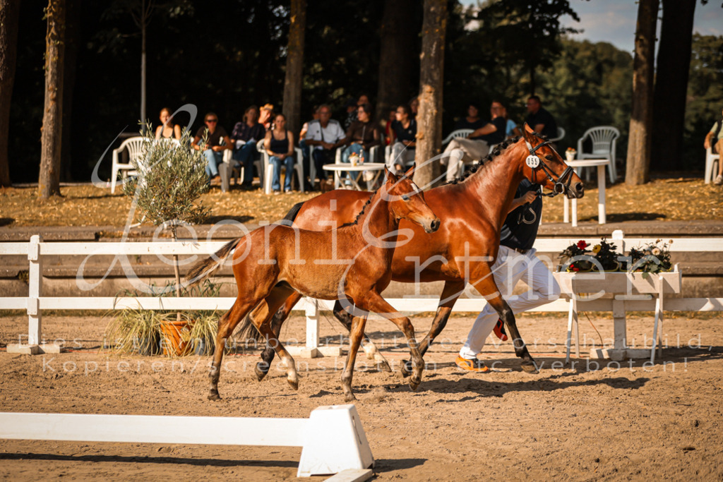 11.DoRP00117 | Leoni Ertmer Photography - Realisiert mit Pictrs.com