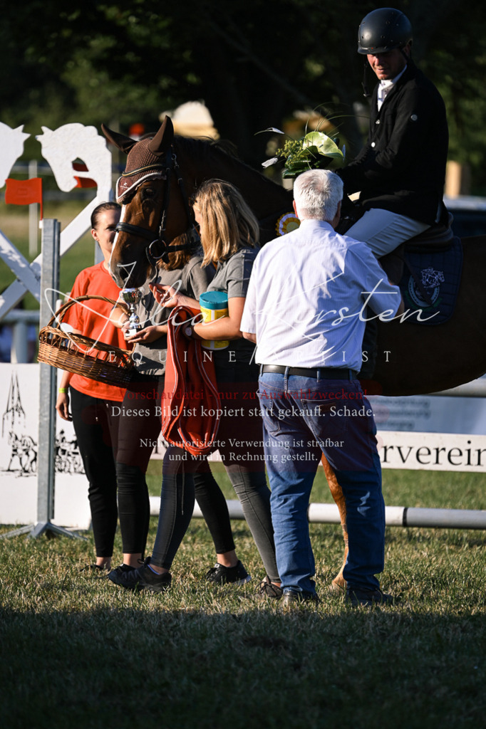 DSC_1856 | Pferde- und Turnierfotografie in Westsachsen. Pferdeportraits, Auftragszeichnungen und intuitive Kunst.