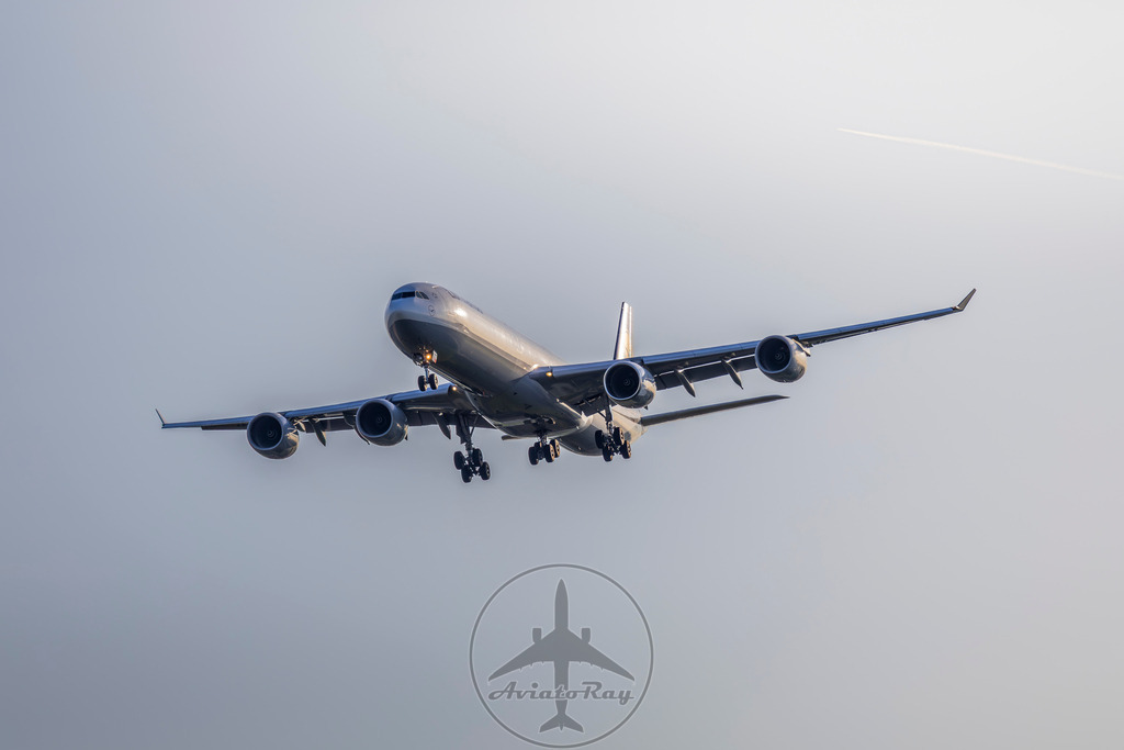 LH411-A346-D-AIHV-JFK-MUC-20240323-1 | Browse breathtaking aviation photography and order high-quality prints from AviatoRay's gallery. Perfect for enthusiasts and collectors. - Realisiert mit Pictrs.com