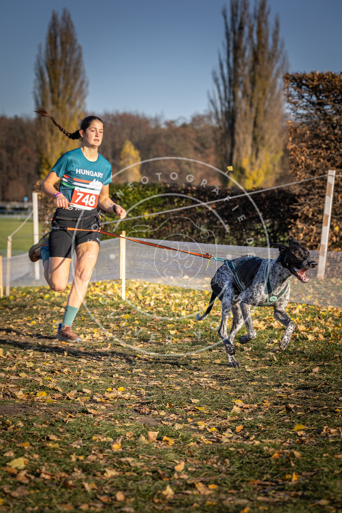 CaniXpix_DV3A2373 | Hundefotografie, Tierfotograf, Pfotenfotografie, Fotoshooting Hund, Hunde Portrait, Hundesport, Hundeportraits, Heideshooting, Hunde, Sportfotograf, Hundefotograf, Turnierhundsport, THS,  - Realisiert mit Pictrs.com