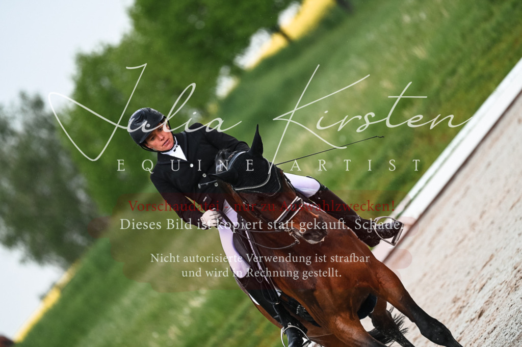 DSC_4206 | Pferde- und Turnierfotografie in Westsachsen. Pferdeportraits, Auftragszeichnungen und intuitive Kunst.