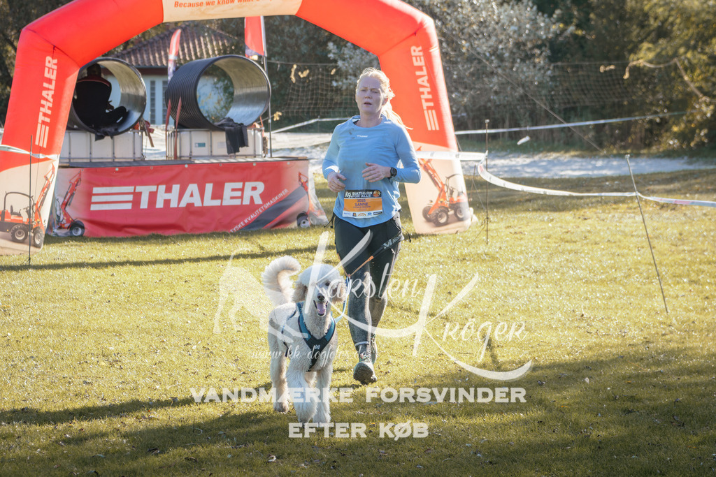 1220_ZZ95533 | kk-dogfotos
