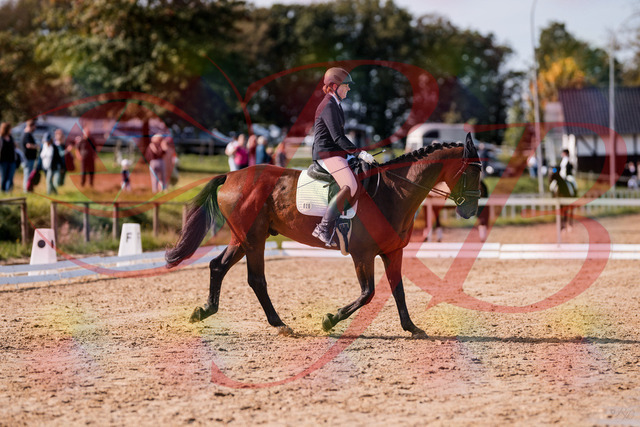 2026_10_03_Siefer-Hof_130219_Z81_55997740 | Professionelle Reitsport-, Turnier- und Eventfotografie von Robert Broda. Galerien mit ausgewählten und bearbeiteten Bildern direkt online ansehen und bestellen.