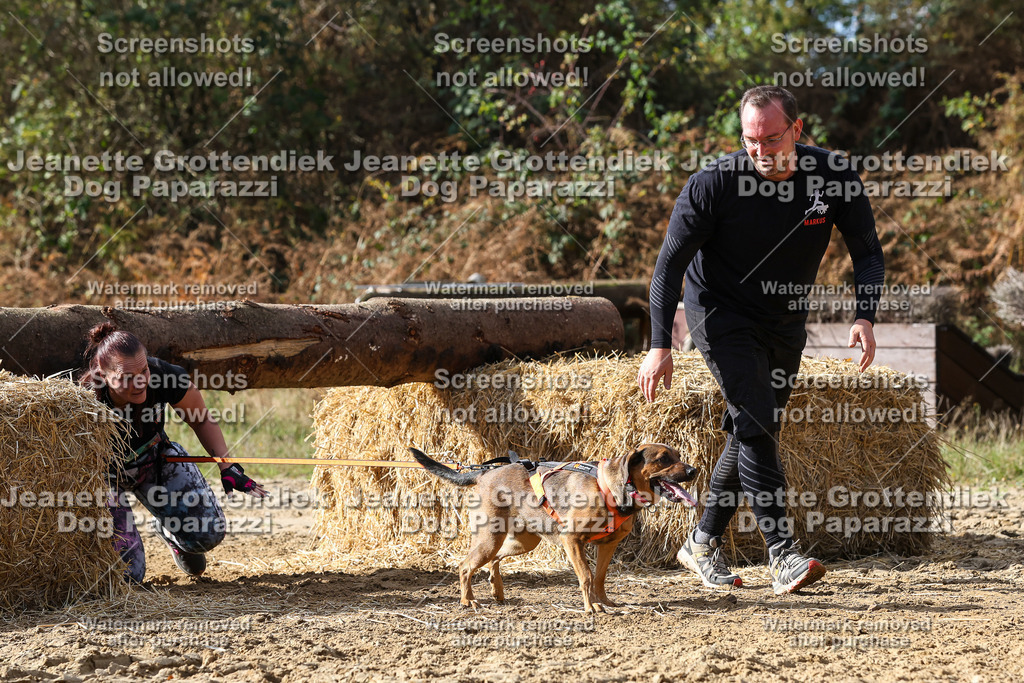 Dog Paparazzi - Strongdog 10-25-5166 | Dog Paparazzi Jeanette Grottendiek Fotografie & Videografie - Realisiert mit Pictrs.com