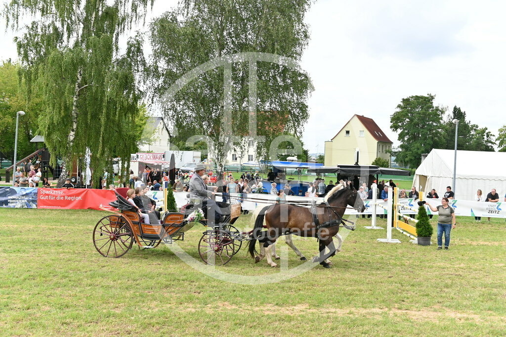 DSC_3576 | sattelsport - Realisiert mit Pictrs.com