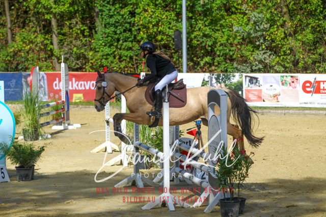 DKP42325 | Turniersportfotografie; Pferdefotografie; Dressurfotografie