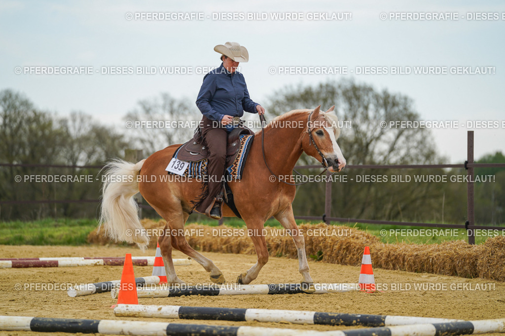 DSC02756 | Pferdegrafie