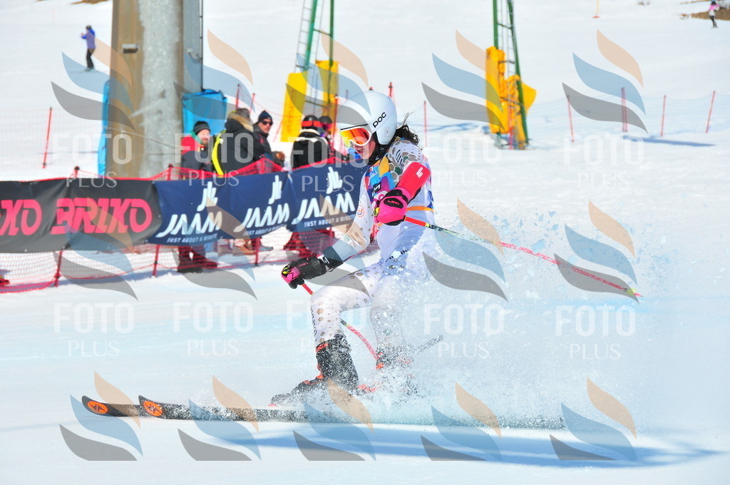 DSC_4852 | holidayphoto