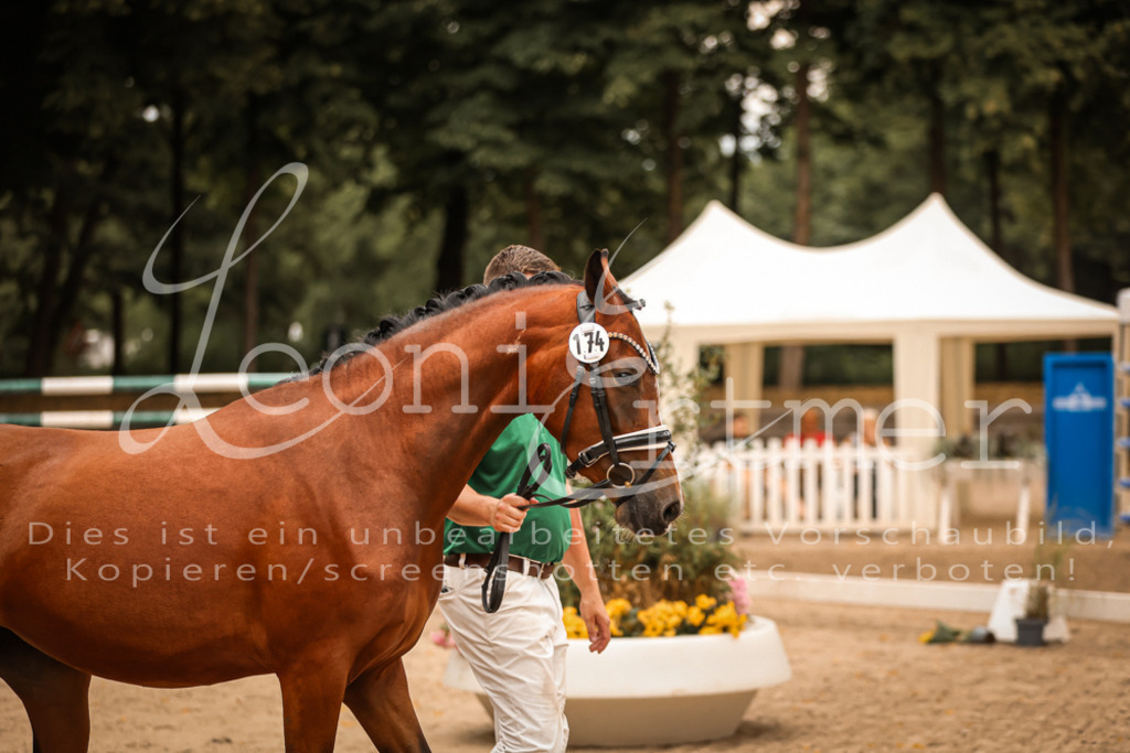 12.So00050 | Leoni Ertmer Photography - Realisiert mit Pictrs.com