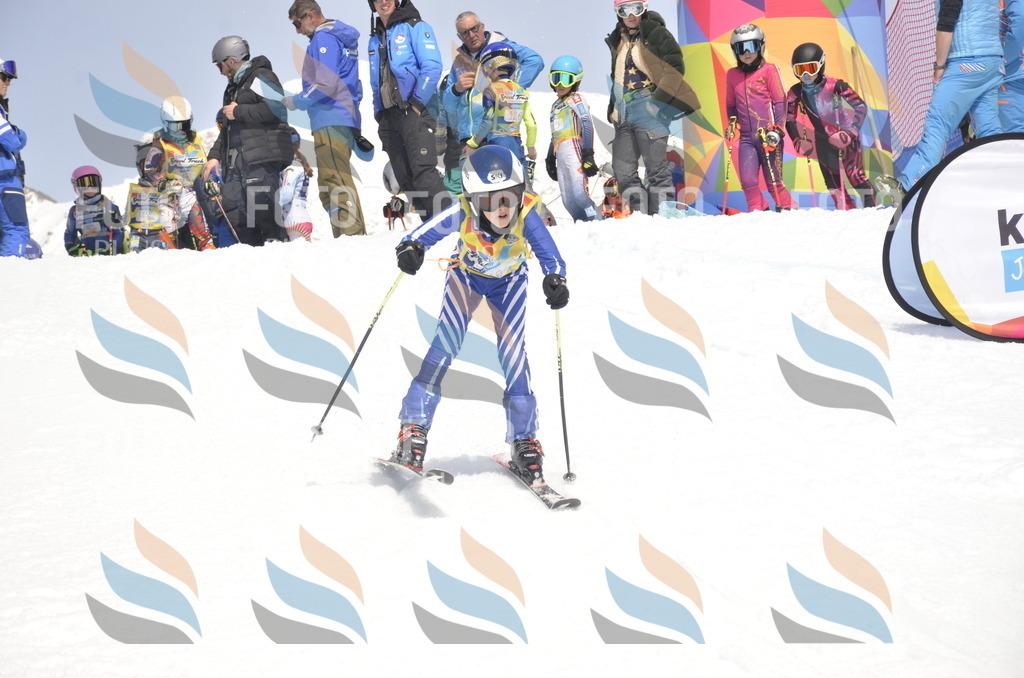 _ELE8771 | holidayphoto