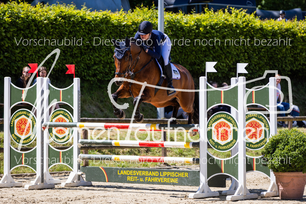 Donop24-Stil-L-061 | MomenTaufnahmen Pferdesportfotos