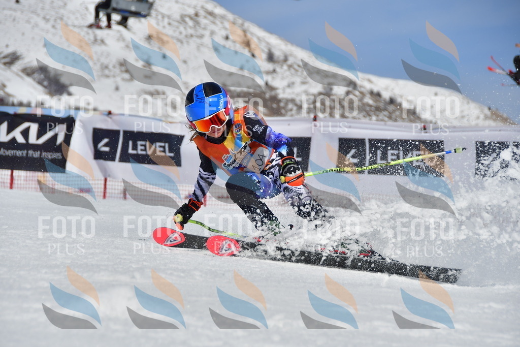 _DSC7639 | holidayphoto