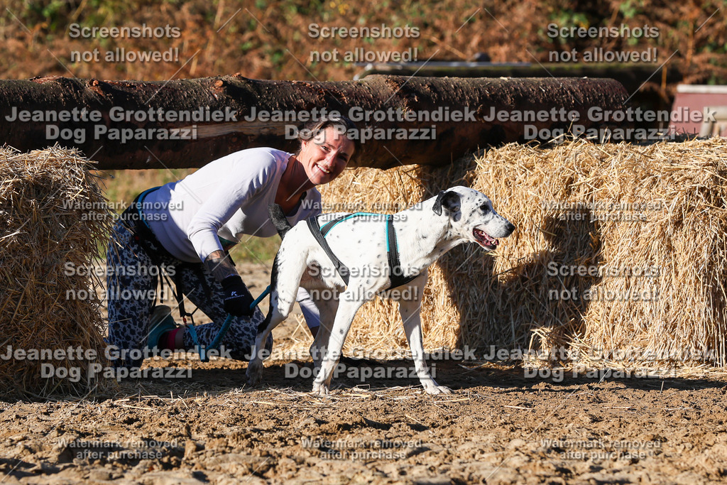 Dog Paparazzi - Strongdog 10-25-1555 | Dog Paparazzi Jeanette Grottendiek Fotografie & Videografie - Realisiert mit Pictrs.com