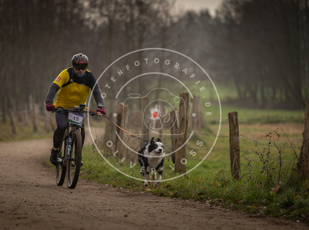 Pfotenfotografie_DV3A1833 | Hundefotografie, Tierfotograf, Pfotenfotografie, Fotoshooting Hund, Hunde Portrait, Hundesport, Hundeportraits, Heideshooting, Hunde, Sportfotograf, Hundefotograf, Turnierhundsport, THS,  - Realisiert mit Pictrs.com