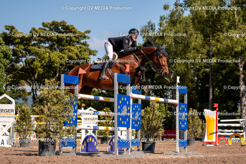 Eppelheim Tag 3-914 | dv-media-shop - Realisiert mit Pictrs.com