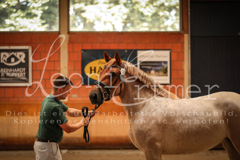 SaFL00060 | Leoni Ertmer Photography - Realisiert mit Pictrs.com