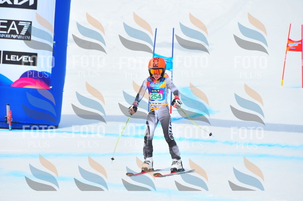 DSC_2355 | holidayphoto