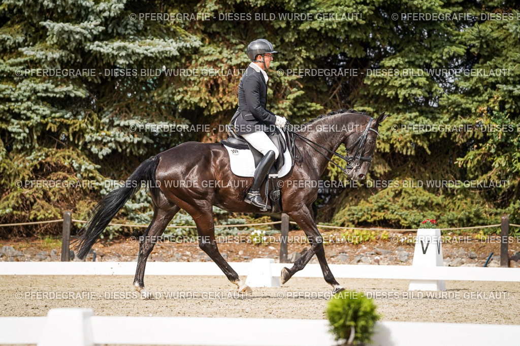 DSC06773 | Pferdegrafie